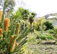 Yooringa Garden Cottage - Hotel Gold Coast
