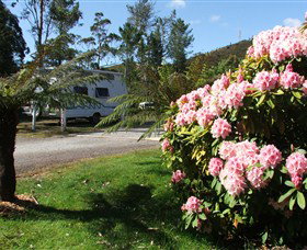 Zeehan Bush Camp  And Caravan Park - Hotel Gold Coast 0