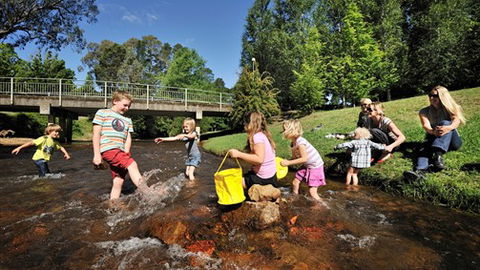 NRMA Bright Holiday Park - Hotel Gold Coast 3