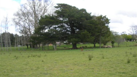 Auberge Woodend - Hotel Gold Coast 3