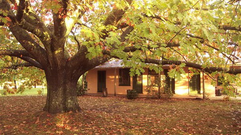 Delatite Station - Hotel Gold Coast 3