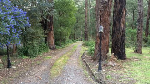 Wattle Tree Creek Cottages - Hotel Gold Coast 5