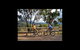 Howqua Valley Views - thumb 0