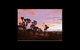 Howqua Valley Views - thumb 6