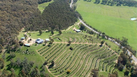 Karoonda Olive Grove Retreat At Mt Buffalo Olives - Hotel Gold Coast 2