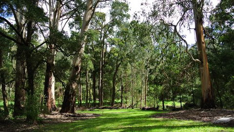 Wildwood Retreat - Hotel Gold Coast 0