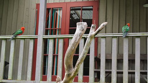 Wildwood Retreat - Hotel Gold Coast 4