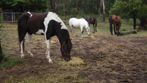 Buller Basecamp Retreat - Hotel Gold Coast 4