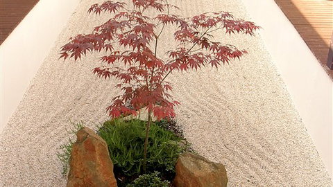 Shizuka Ryokan Japanese Country Spa & Wellness Retreat - Hotel Gold Coast 6