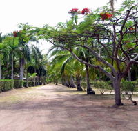 Alva Beach Tourist Park - Hotel Gold Coast