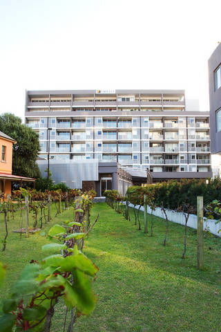 B7 Honeysuckle Apartments - Hotel Gold Coast 1