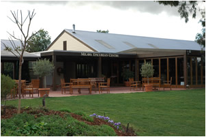Buffalo Motel And Country Retreat - Hotel Gold Coast 1