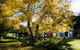 Buffalo Motel And Country Retreat - thumb 5