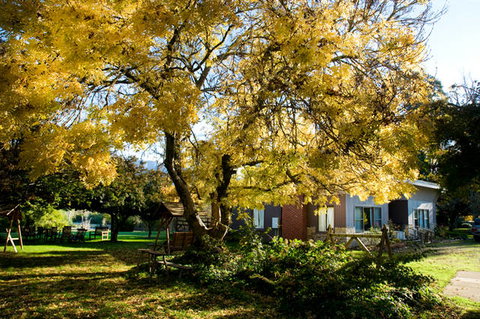 Buffalo Motel And Country Retreat - Hotel Gold Coast 5