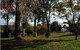 Buffalo Motel And Country Retreat - thumb 8
