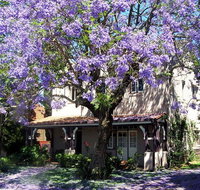 Callam Court - Hotel Gold Coast