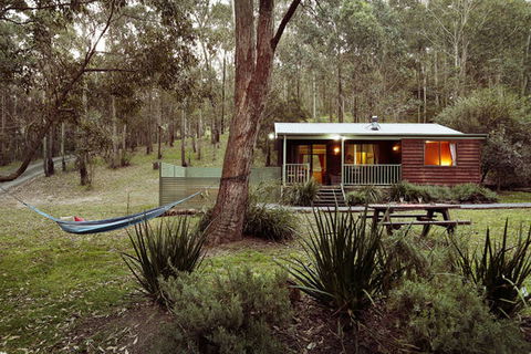Cottages On Mount View - Hotel Gold Coast 8