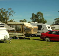 Crocodile Caravan   Camping Park - Hotel Gold Coast