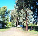 Cudal Caravan Park - Hotel Gold Coast