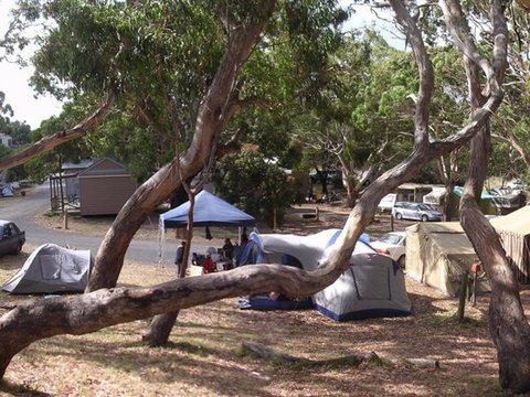 Bimbi Park Camping Under Koalas - Hotel Gold Coast 3