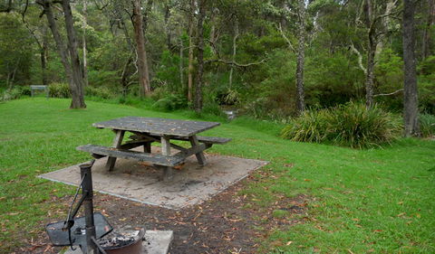 Chaelundi Campground - Hotel Gold Coast 0