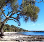 Currarong Beachside Holiday Park - Hotel Gold Coast