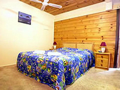 Shelly Beach Cabins - Hotel Gold Coast 1