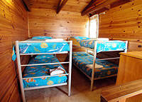 Shelly Beach Cabins - Hotel Gold Coast 7