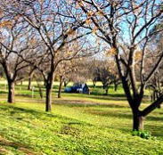 Wellington Caves Caravan Park - Hotel Gold Coast