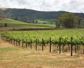 Acacia Park Farm House - Hotel Gold Coast 7