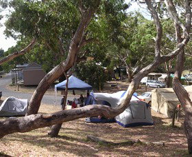 Bimbi Park Camping Under Koalas - Hotel Gold Coast 1
