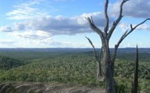 Goat Rock Camping Ground And Tourist Park - Hotel Gold Coast 2