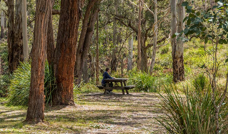Acacia Creek ACT Hotel Gold Coast