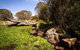 Little Murray Campground - thumb 1