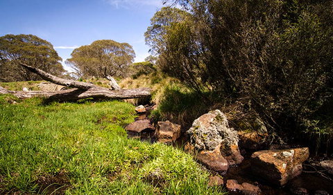 Little Murray Campground - Hotel Gold Coast 1