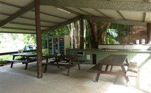 Mt Warning Rainforest Park - Hotel Gold Coast 4