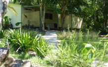 Mt Warning Rainforest Park - Hotel Gold Coast 5