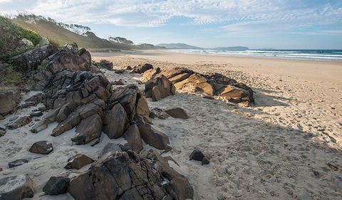 Racecourse Campground - Hotel Gold Coast 1
