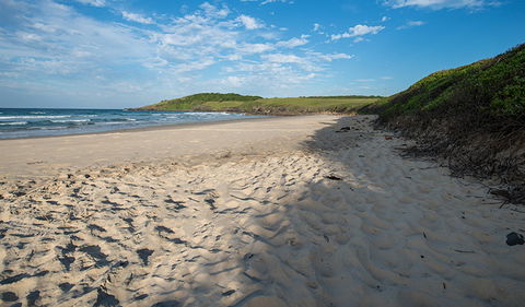 Racecourse Campground - Hotel Gold Coast 2