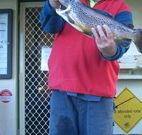 Rainbow Pines Tourist Caravan Park - Hotel Gold Coast