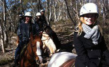 JE Resort (Jindabyne Equestrian Resort) - Hotel Gold Coast 1