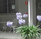 Pine Lodge Motel - Woolgoolga - Hotel Gold Coast