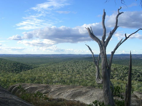 Goat Rock Camping Ground And Tourist Park - Hotel Gold Coast 7
