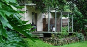 Mt Warning Rainforest Park - Hotel Gold Coast 6