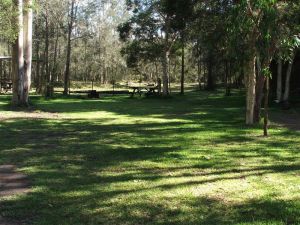 Jervis Bay Cabins And Hidden Creek Real Camping - Hotel Gold Coast 6