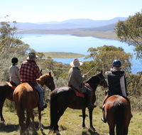 Reynella Homestead and Horseback Rides - Hotel Gold Coast