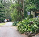 Tamborine Mountain Caravan  Camping - Hotel Gold Coast