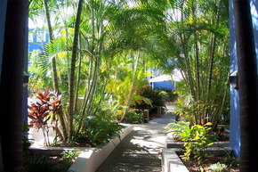 Portobello By The Sea - Hotel Gold Coast 2