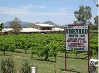 Mudgee Vineyard Motor Inn - Hotel Gold Coast 2