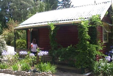 Cedar Lodge Cabins - Hotel Gold Coast 1